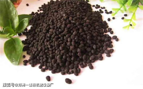 有机肥料厂选址的核心考量要素